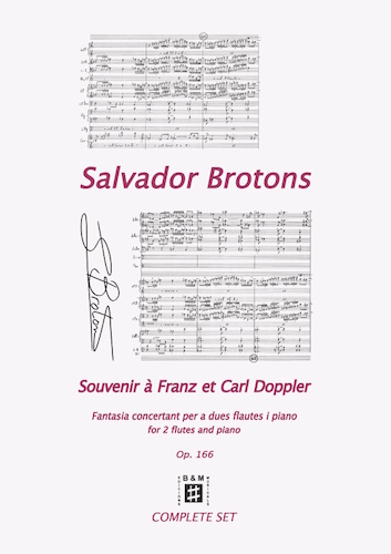 Souvenir à Franz et Carl Doppler