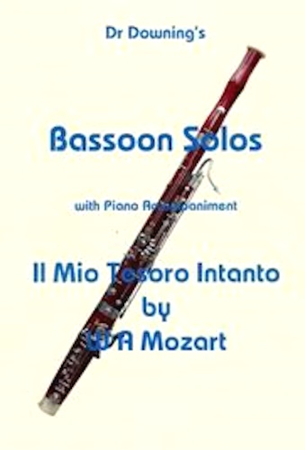 IL MIO TESORO from 'Don Giovanni'