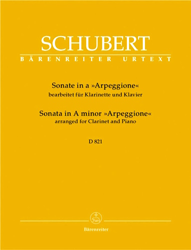 SONATA in A minor, Arpeggione D821