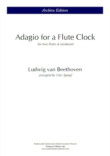 ADAGIO FOR A FLUTE CLOCK