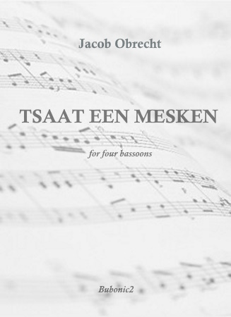 TSAAT EEN MESKEN
