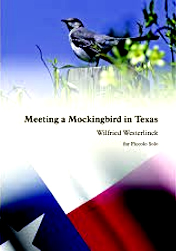MEETING A MOCKINGBIRD IN TEXAS