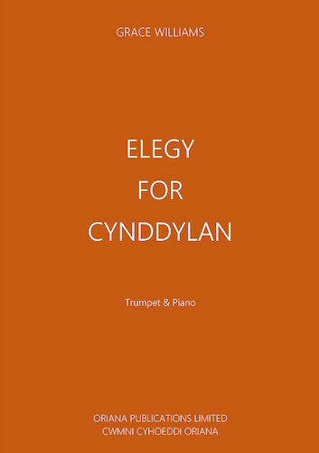 ELEGY FOR CYNDDYLAN