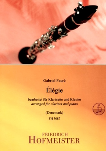 ELEGIE Op.24