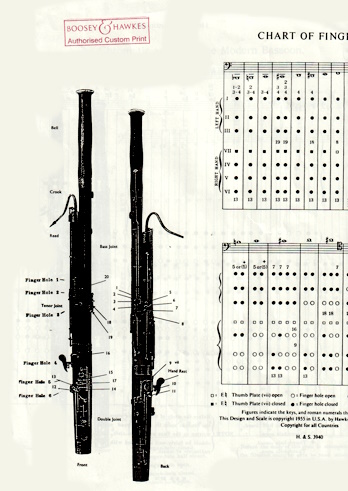 FINGERING CHART German