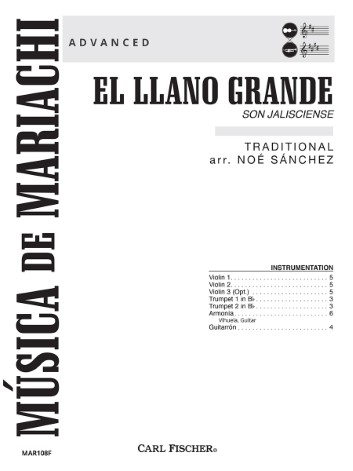 EL LLANO GRANDE (score)