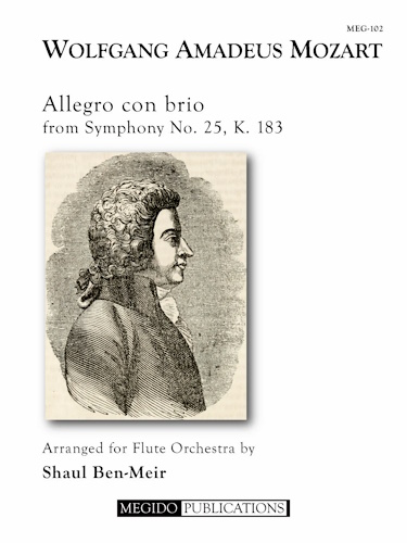 ALLEGRO CON BRIO from Symphony No.25, K. 183 (score & parts)
