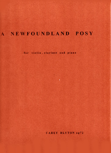 A NEWFOUNDLAND POSY