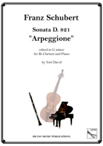 SONATA 'Arpeggione' D821 in g minor