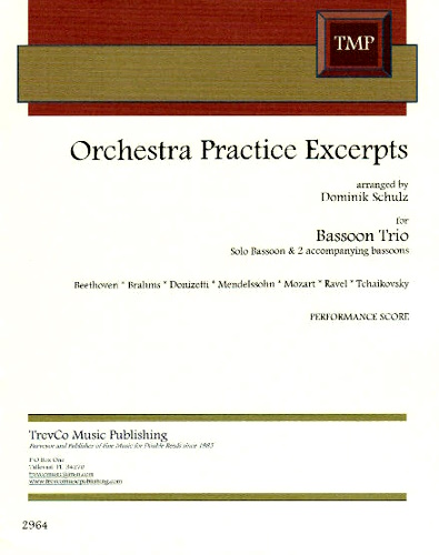 ORCHESTRA PRACTICE EXCERPTS