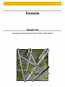 FANTAISIE (score & parts)