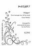 ADAGIO FROM SERENADE NO.10