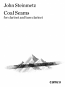 COAL SEAMS