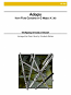 ADAGIO from Flute Concerto K313 (score & parts)