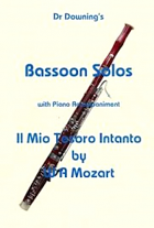 IL MIO TESORO from 'Don Giovanni'