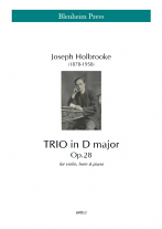 TRIO in D major Op.28