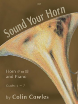 SOUND YOUR HORN