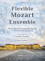 SYMPHONY No.40 First Movement (score & parts)