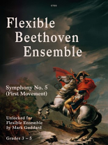 FLEXIBLE BEETHOVEN ENSEMBLE Symphony No.5, 1st Movement (score & parts)
