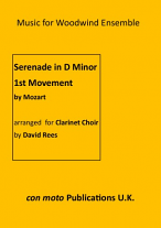 SERENADE in D minor 1st Movement (score & parts)