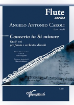 CONCERTO in B minor GroF 716