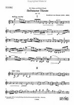 SELTSAME TANZE Op.111