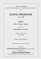 TRIO in Bb major (parts only)