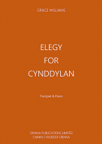 ELEGY FOR CYNDDYLAN