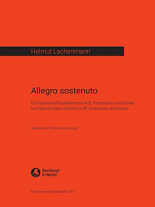 ALLEGRO SOSTENUTO (playing score)