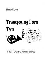 TRANSPOSING HORN TWO