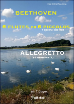ALLEGRETTO from Symphony No.7