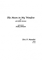 THE MOON IN MY WINDOW