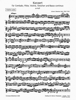 CONCERTO IN A MINOR BWV 1044 Solo Violin