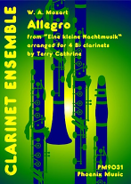 ALLEGRO from Eine Kleine Nachtmusik