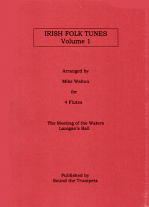 IRISH FOLK TUNES Vol. 1