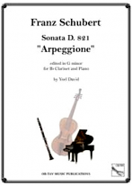 SONATA 'Arpeggione' D821 in g minor