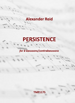 PERSISTENCE