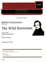THE WILD HORSEMAN