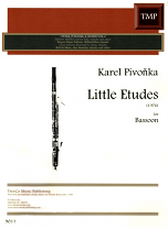 LITTLE ETUDES