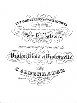 INTRODUCTION & VARIATIONS