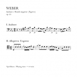 ANDANTE E RONDO UNGARESE Op.35