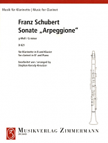 SONATA in G minor 'Arpeggione' D821