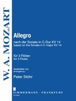 ALLEGRO based on Sonata KV14