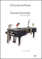 SERENADE Op.22 First Movement